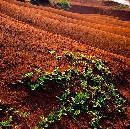 中手游通报：《仙剑世界》制作人涉嫌职务犯罪被刑拘